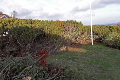 20190125_133130b