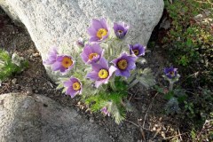 20190406_163718v