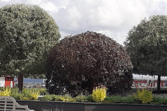 20190905_140013c_redigerad-1